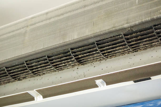 Best Air Duct Cleaning Company Near Me  in Dayton, MN
