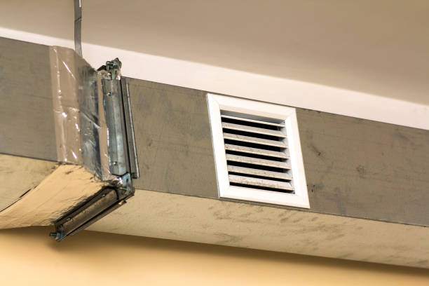 Best Duct Cleaning Specialists  in Dayton, MN